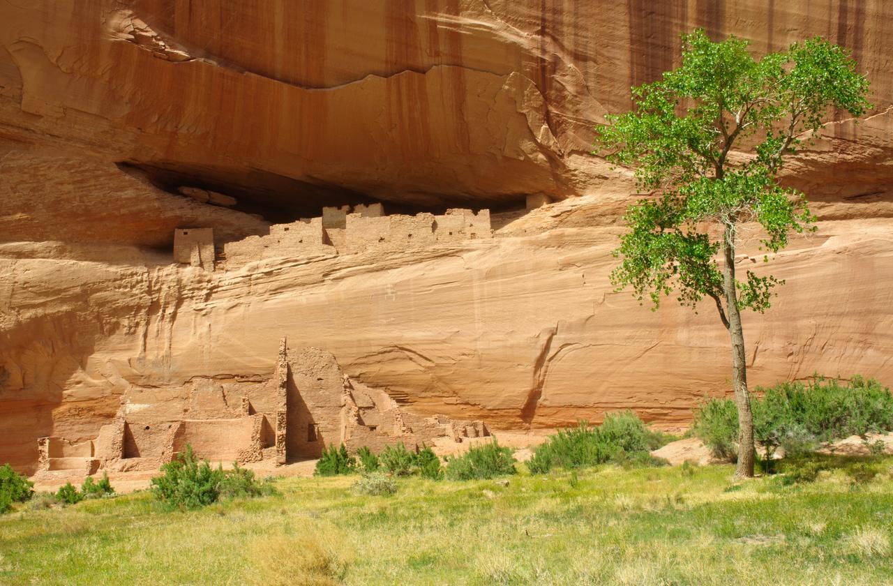 Thunderbird Lodge Чинли Екстериор снимка